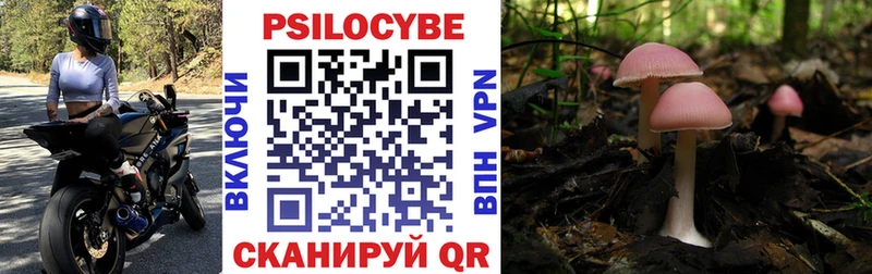 Галлюциногенные грибы Cubensis  Лаишево 